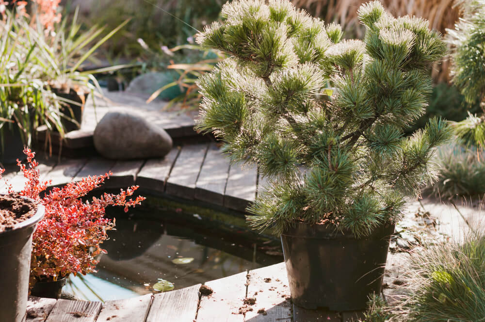 Decorative Garden Element Installation by ProFix LA Handyman in Los Angeles