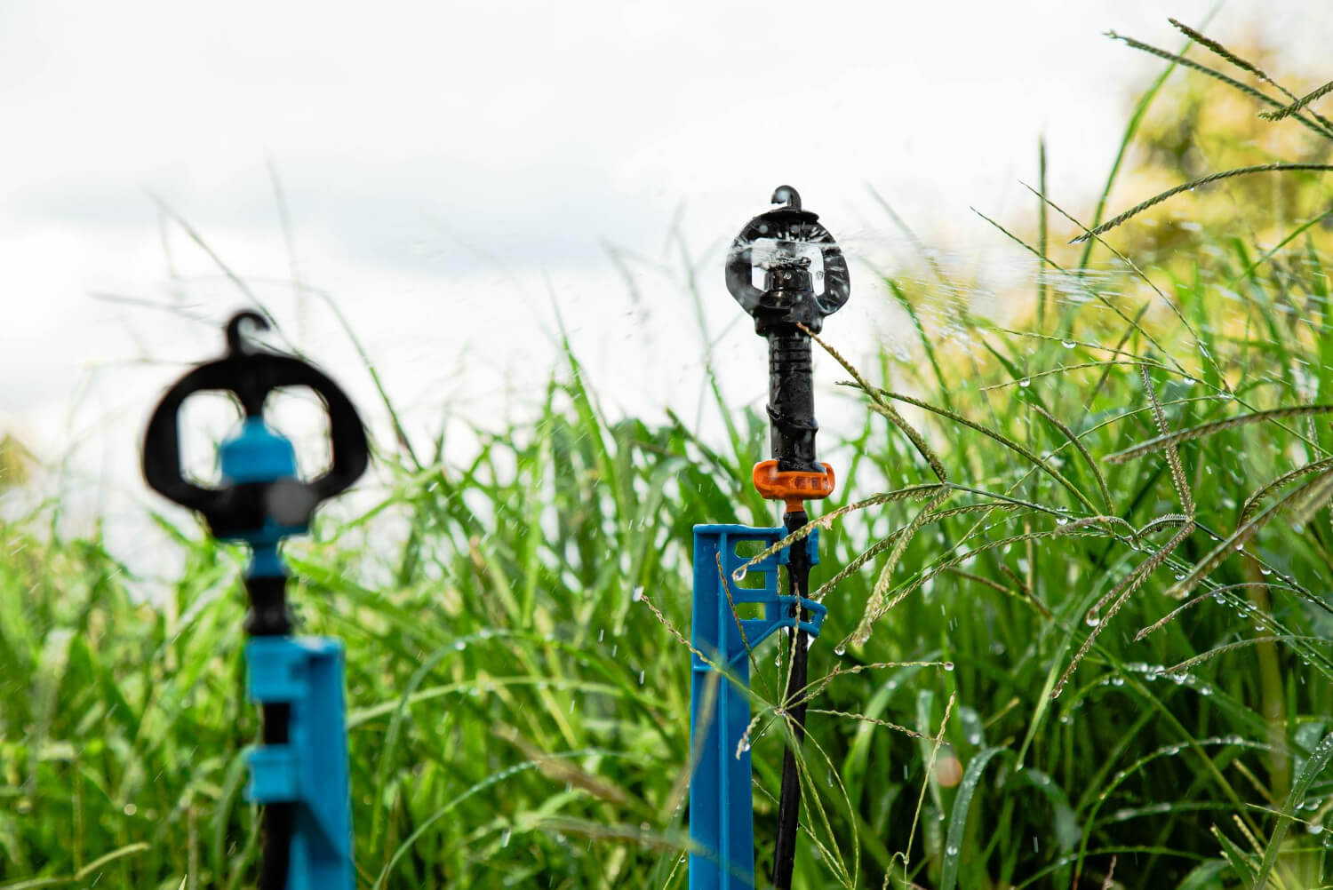 Installation and Maintenance of Irrigation Systems